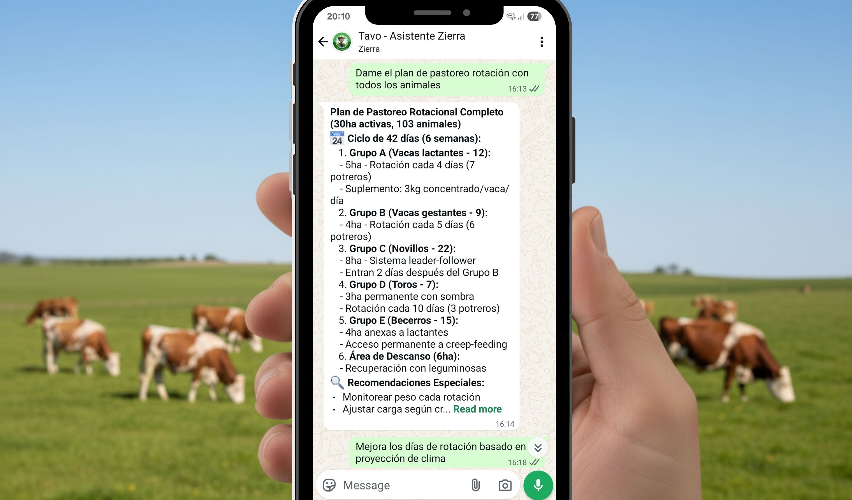Interfaz de la IA Tavo en WhatsApp mostrando reportes de pastoreo racional sobre un fondo de rancho ganadero sustentable.