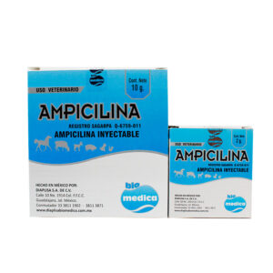Ampicilina — Antibiótico de amplio espectro para bovinos 2 g y 10 g