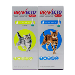 Bravecto® Plus — Antiparasitario tópico de amplio espectro para gatos