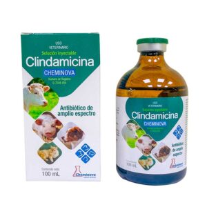 Clindamicina 100 ml — Antibiótico de amplio espectro para bovinos 100