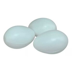 Huevo de Plástico para Gallinas — Huevo falso para control de postura