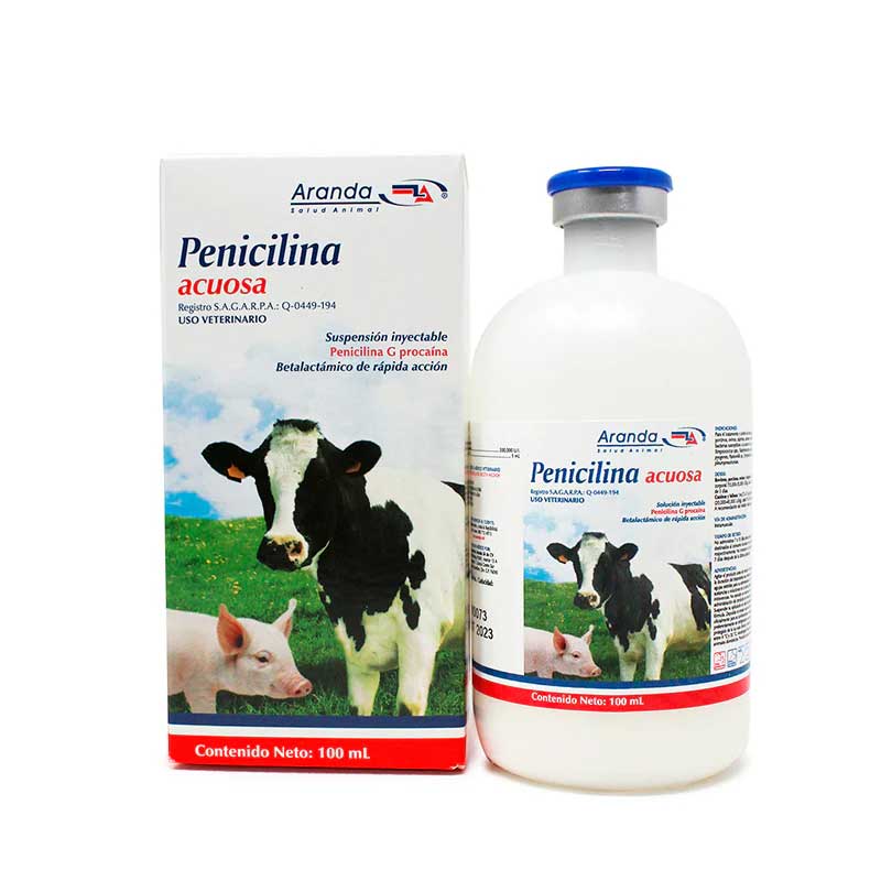 Penicilina Acuosa 100 ml — Antibiótico betalactámico para bovinos 100
