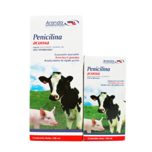 Penicilina Acuosa — Antibiótico betalactámico para bovinos 100 ml