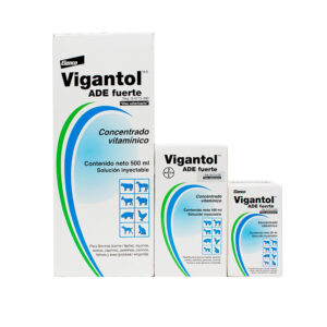 Vigantol ADE Fuerte — Concentrado Vitamínico ADE para bovinos y caballos 25 ml