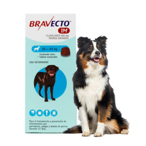 Bravecto® 1M — Antiparasitario oral de larga duración para Perros 1 tableta