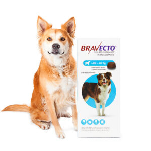 Bravecto® 20 a 40 kg — Antiparasitario oral de larga duración para perros