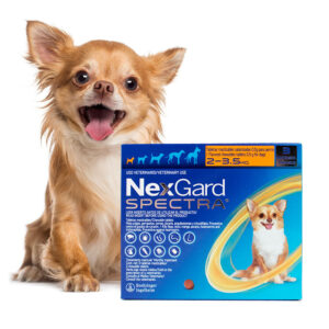 Nexgard Spectra® — Antiparasitario interno y externo para perros