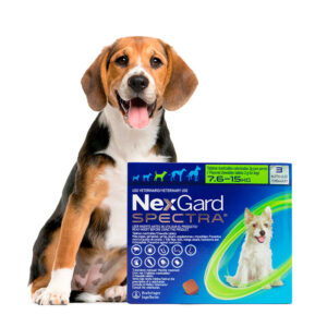 Nexgard Spectra® — Antiparasitario interno y externo para perros