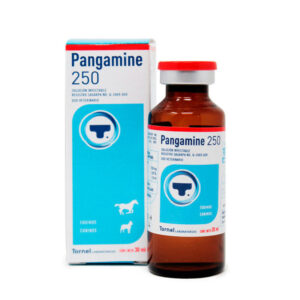 Pangamine 250 — Suplemento vitamínico para Equinos 30 ml