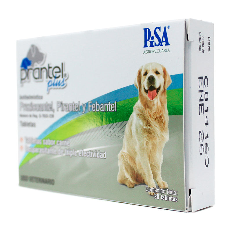 Prantel® Plus — Antihelmíntico de amplio espectro para perros chicos a medianos