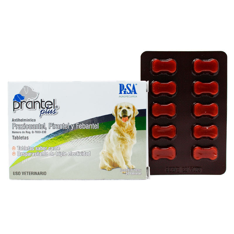 Prantel® Plus — Antihelmíntico de amplio espectro para perros chicos a medianos