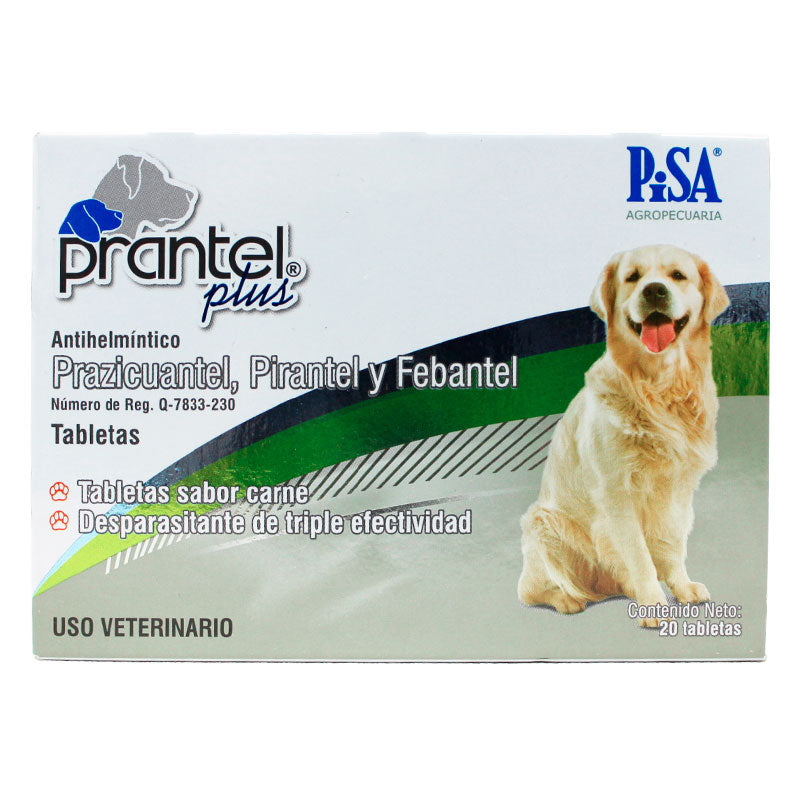 Prantel® Plus — Antihelmíntico de amplio espectro para perros chicos a medianos