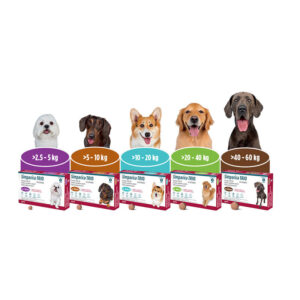 Simparica TRIO® — Antiparasitario Interno y Externo para perros 3 Tabletas