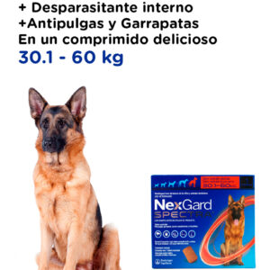 U,SHIELD con NexGard Spectra 30.1 - 60 kg — Antiparasitario interno y
