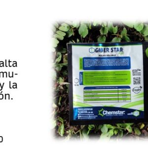 Giber Star Plus - Sobre 10grs