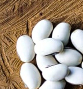 Semillas de Canavalia ensiformis - Granel 1kg