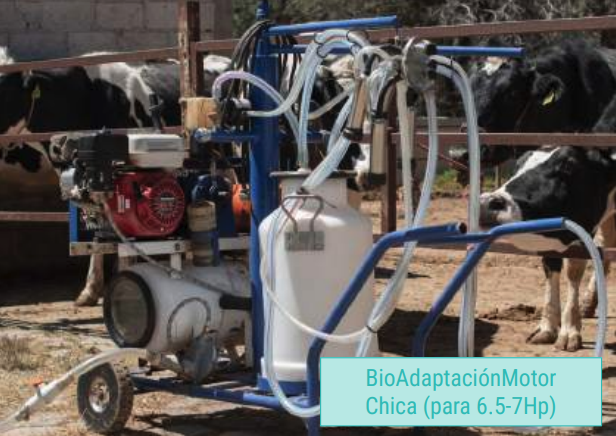 Kit de conversión de motor a biogás (6.5-7 HP) — BioAdaptación Motor Chico