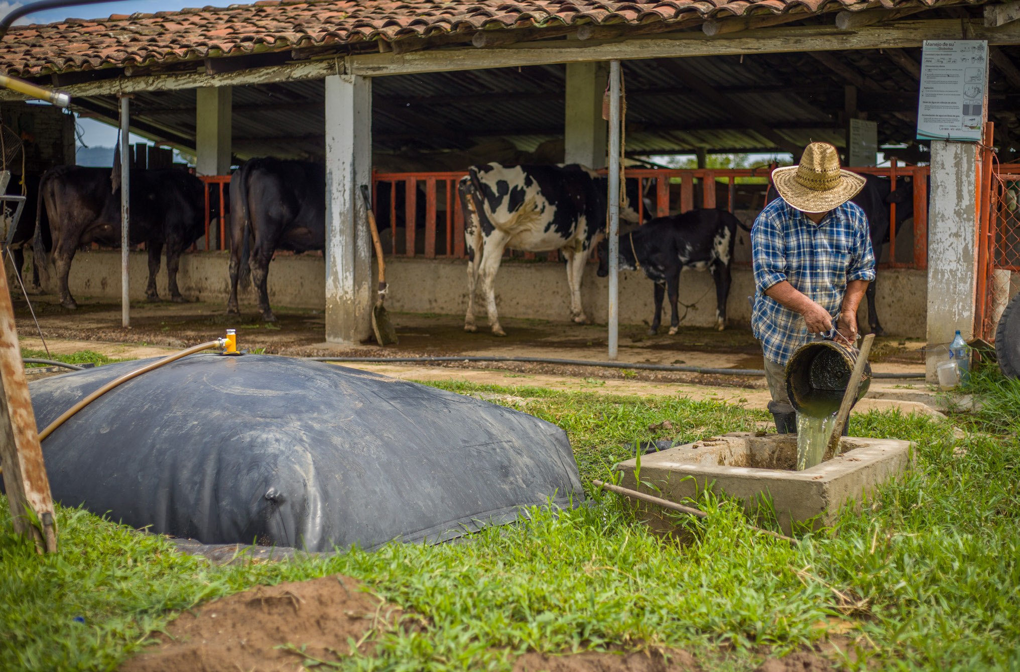 Biodigestor Sistema.bio de 8,000 litros — para 2 a 3 vacas o hasta 25 cerdos
